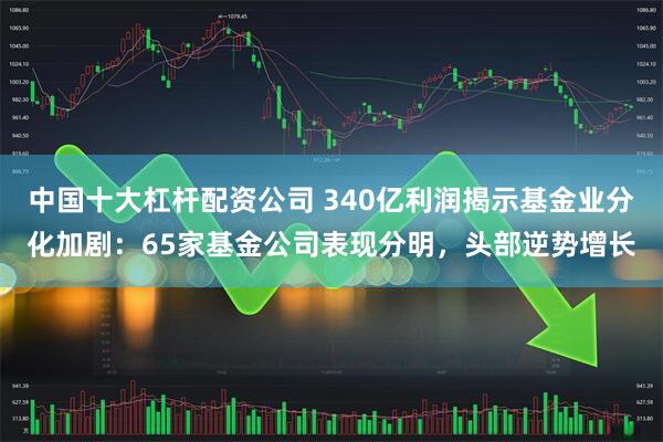 中国十大杠杆配资公司 340亿利润揭示基金业分化加剧：65家基金公司表现分明，头部逆势增长