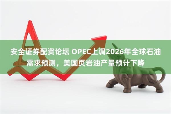 安全证券配资论坛 OPEC上调2026年全球石油需求预测，美国页岩油产量预计下降